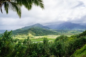 Kauai Hawaii 7837